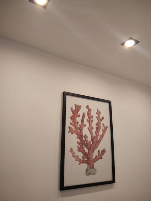 Dimora Cutelli Apartment Catania Bagian luar foto
