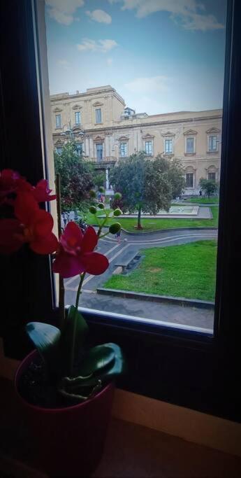 Dimora Cutelli Apartment Catania Bagian luar foto